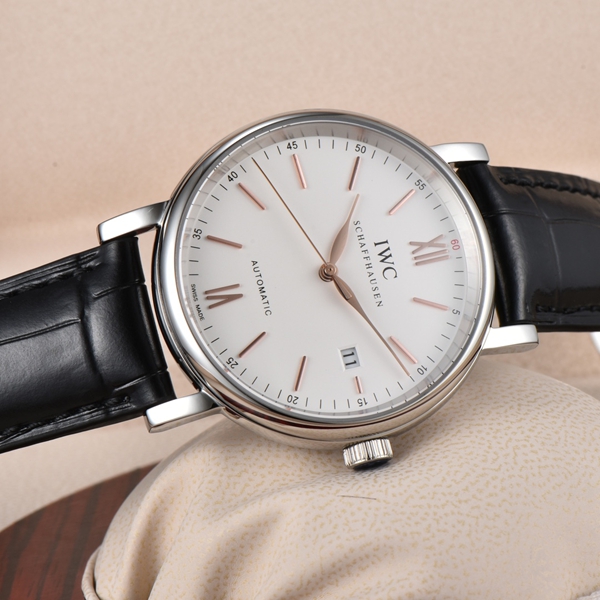 アイ・ダブリュー・シー側面デザイン